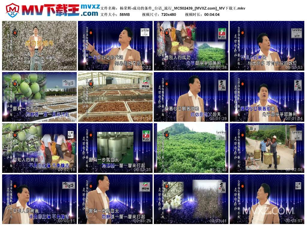 杨荣辉-成功的条件_台语_流行_MC502439